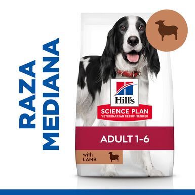 Hill's Science Plan Adult Medium Cordeiro e Arroz ração para cães